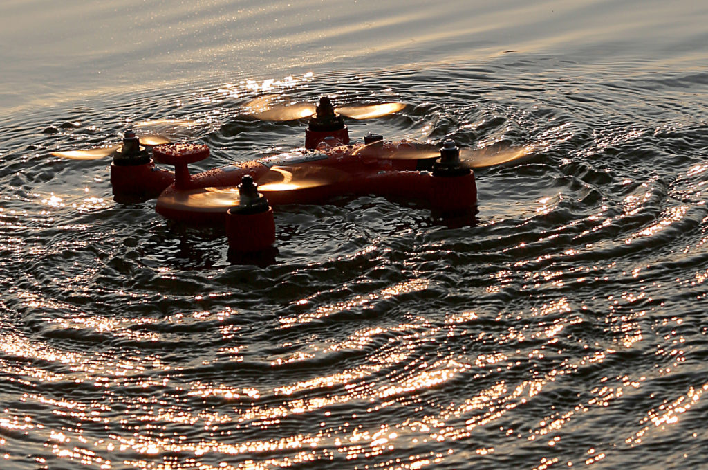 Spry floating in lake
