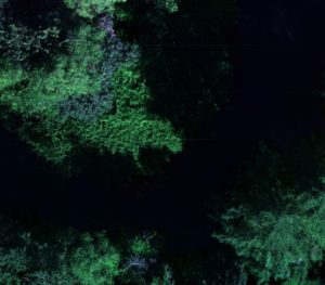 multispectral combo image - Blue Skies Drones Combo band multispectral